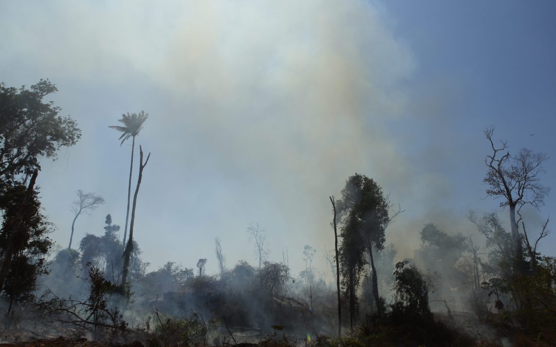 Cidades da Amazônia têm a pior qualidade do ar de todo o Brasil, alerta cientista