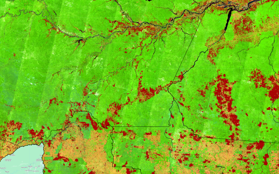 Fogo teve alta de 64% em florestas públicas não destinadas em 2024