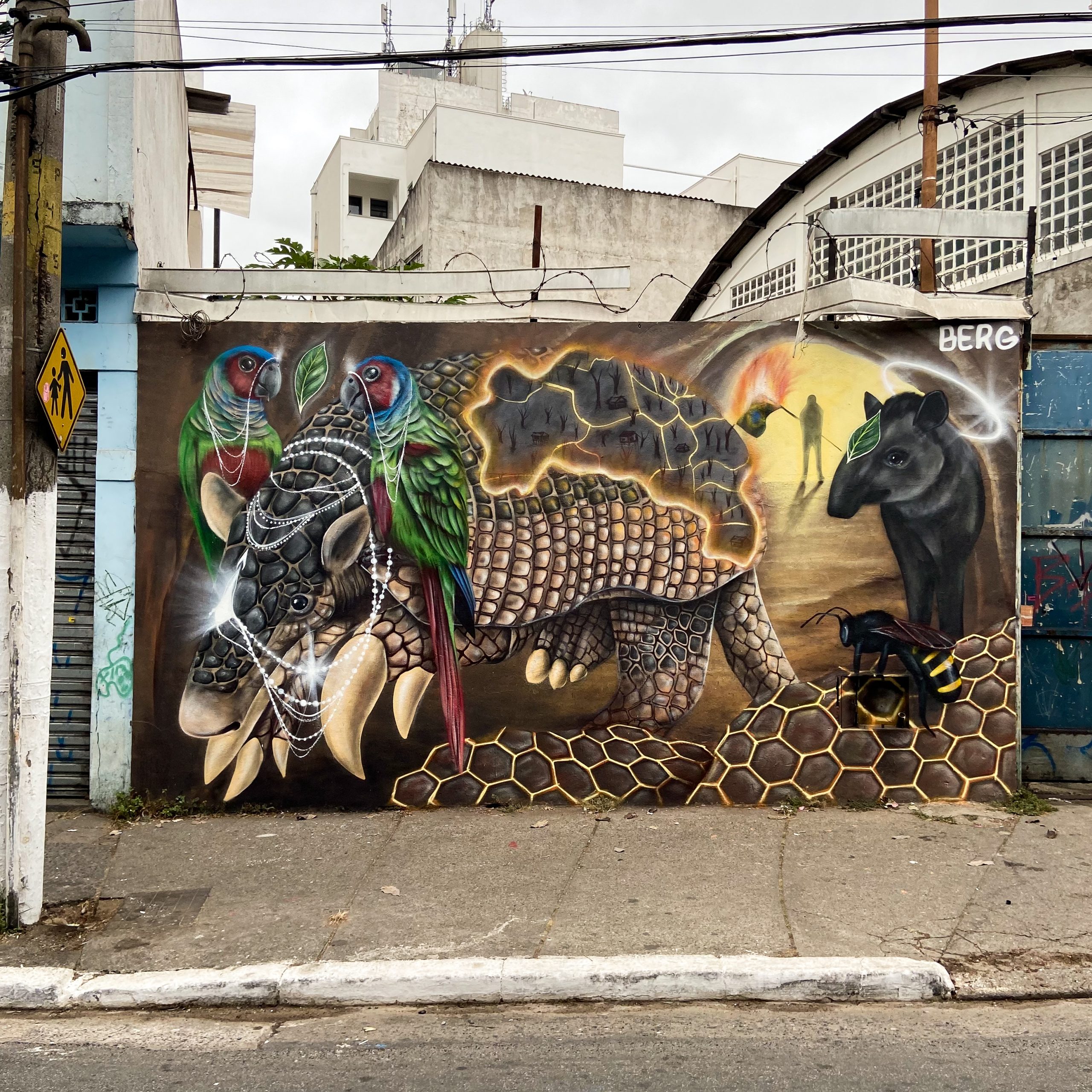 Quando seu habitat é ameaçado, o tatu-canastra, maior tatu do mundo, é forçado a encontras novas fontes de alimento, como larvas de abelhas em colmeias. O comportamento leva a conflitos com apicultores, resultando em medidas contra o animal. A pintura inclui uma anta que busca refúgio na toca; uma abelha mandaçaia (palavra indígena que significa “vigia bonito”); e tiribas-do-paranã, aves ameaçadas pelo desmatamento e expansão agrícola. Pintura feita a pedido do projeto “Canastras e Colmeias”, que visa adaptar as colmeias, dificultando o acesso dos tatus e protegendo tanto as colmeias quanto os tatu-canastras.