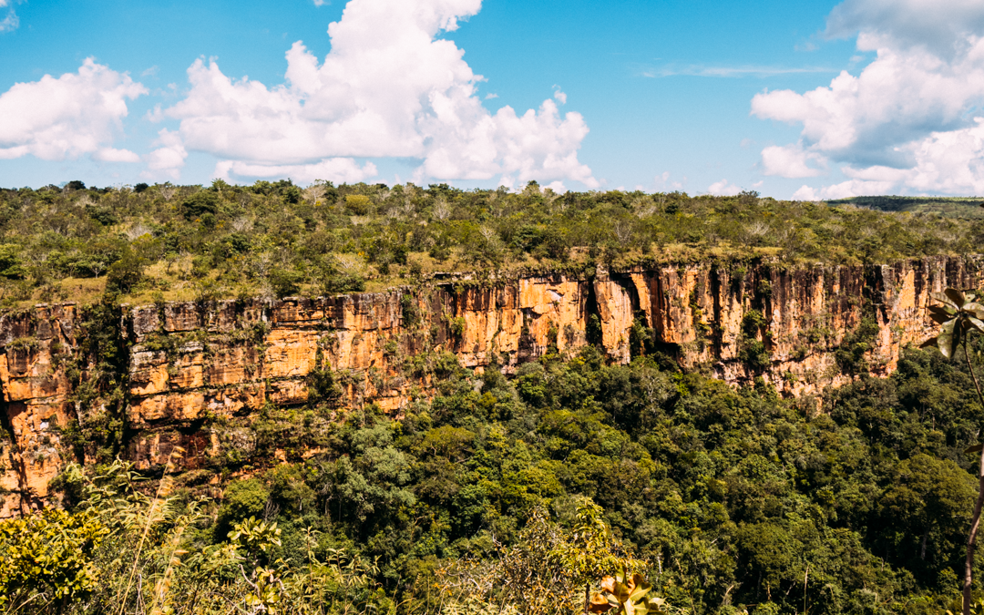 Estudo aponta caminhos para financiamento da produção agrícola sustentável no MT