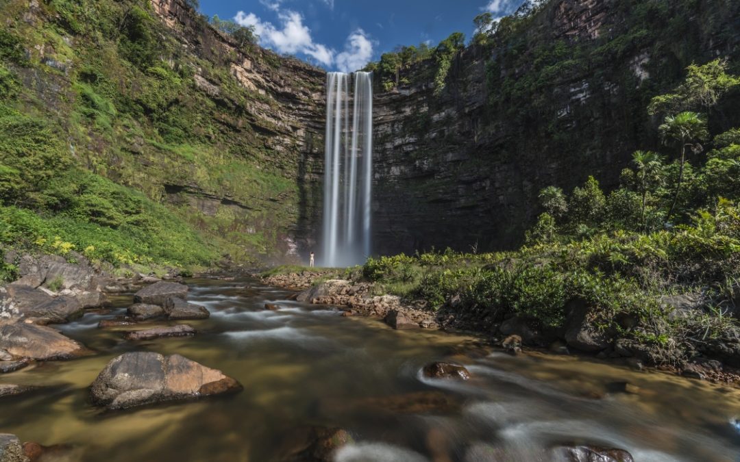Cerrado perdeu água natural em 91% das bacias hidrográficas em 40 anos