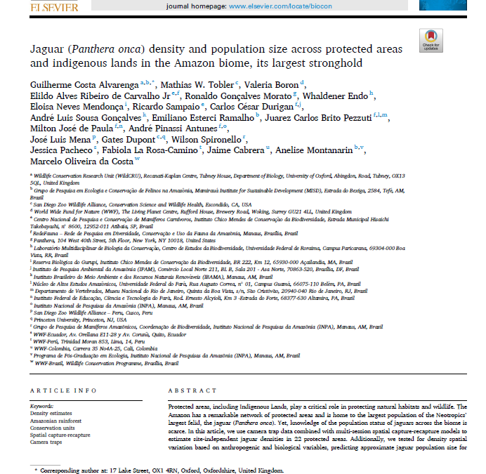 Densidade e tamanho populacional da onça-pintada (Panthera onca) em áreas protegidas e terras indígenas no bioma Amazônia, seu maior reduto