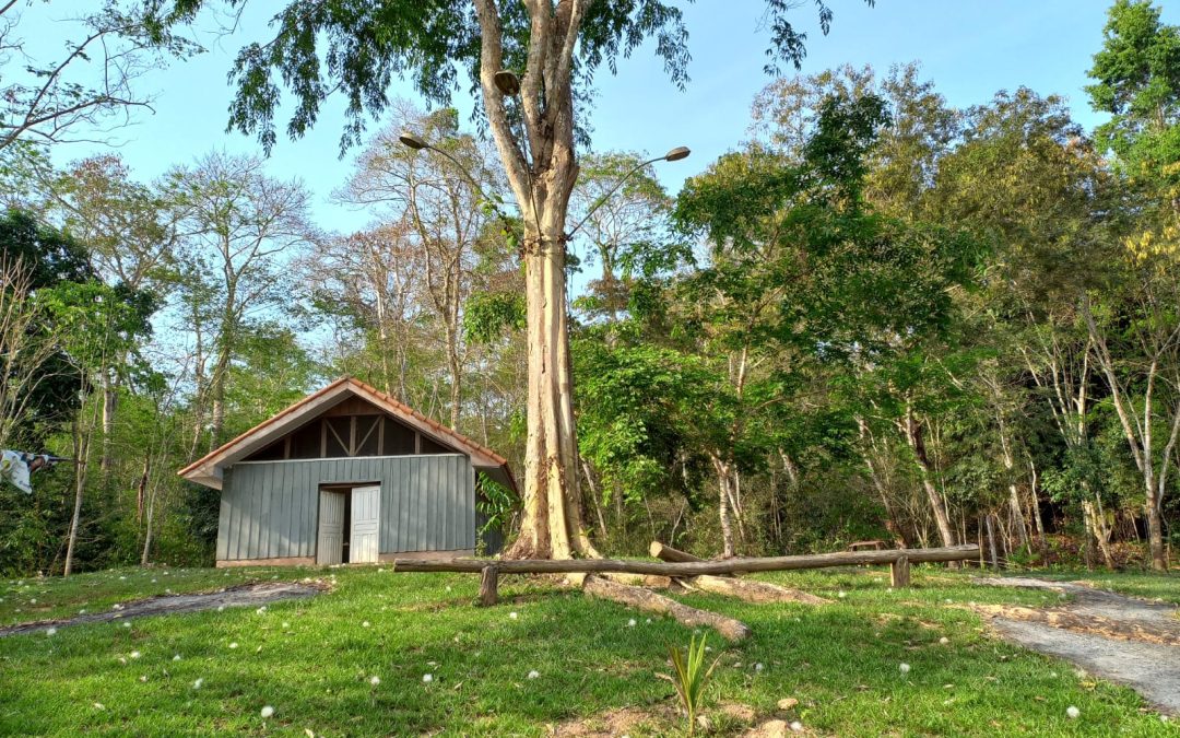 Museu Paiter a Soe: resgatando a cultura para proteger a floresta