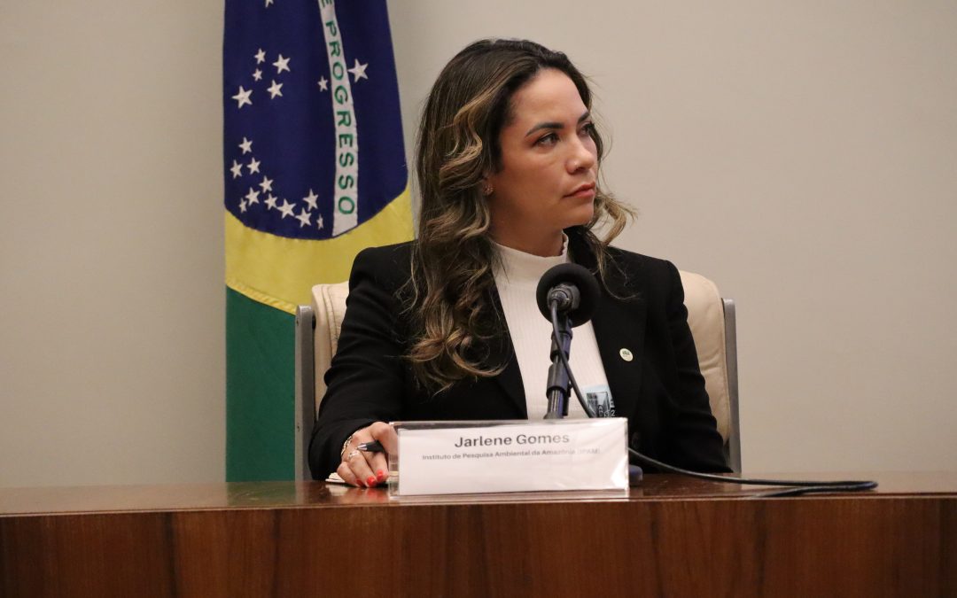 Implementar o Código Florestal é essencial para o agronegócio