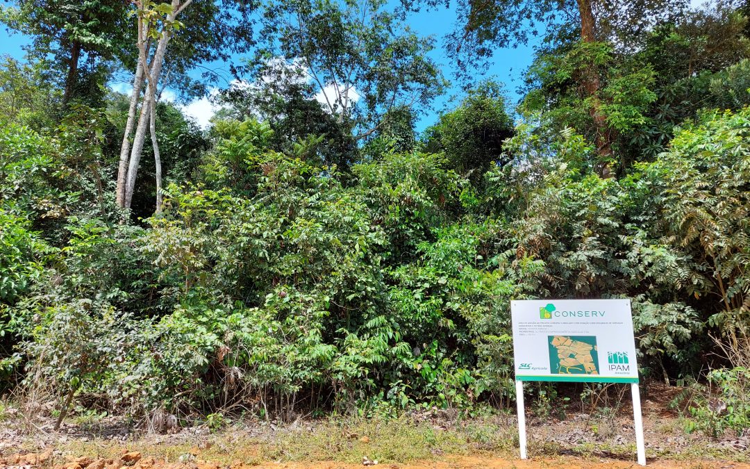 How IPAM relied on dialog to promote a low-carbon economy