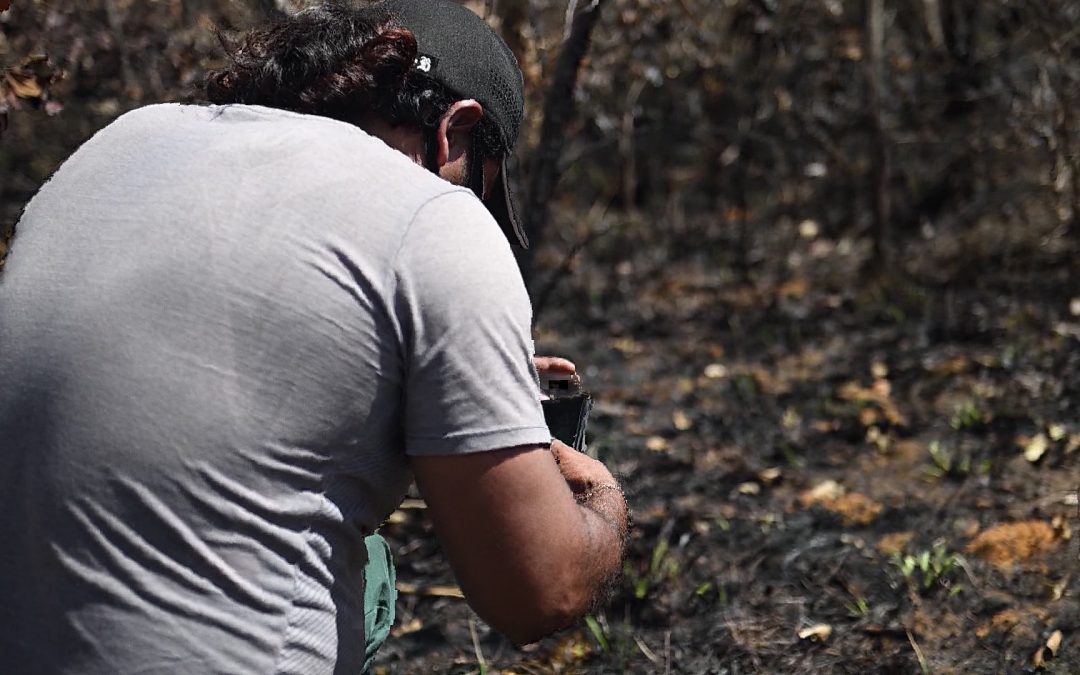 Deforestation caused the burning of 20 million hectares in the Cerrado
