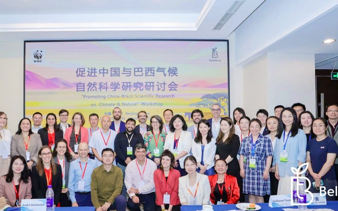 In Beijing, event boosts cooperation between Brazilian and Chinese NGOs