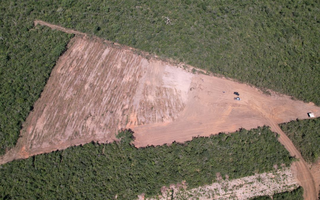 States use SEEG to build climate policies