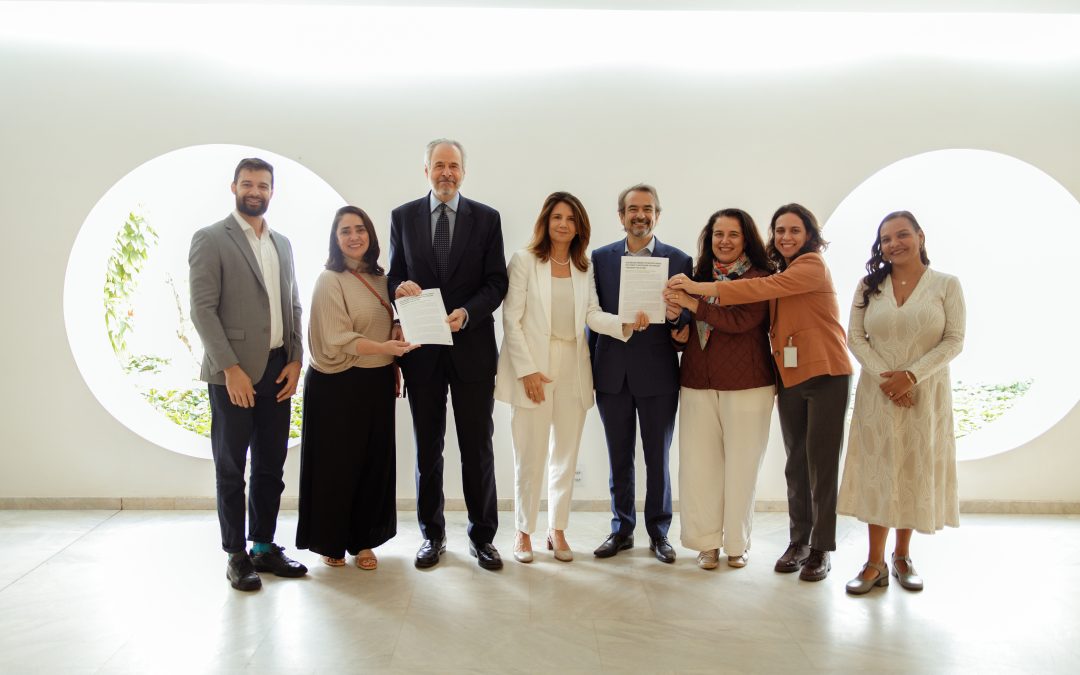 COP30: Aumentar o financiamento à Amazônia é chance histórica