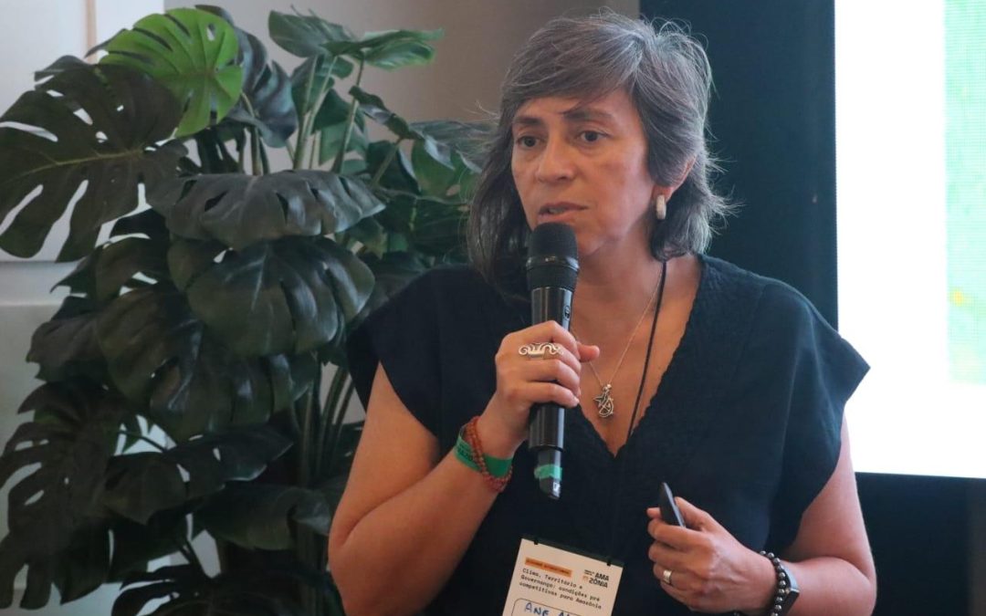 Incêndios florestais representam risco para investimentos na Amazônia