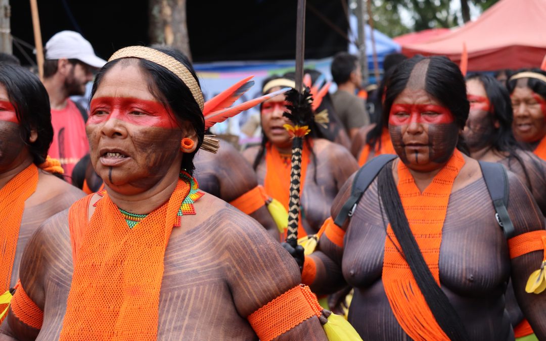 An Amazonian outlook is crucial to avoid a tipping point for the biome