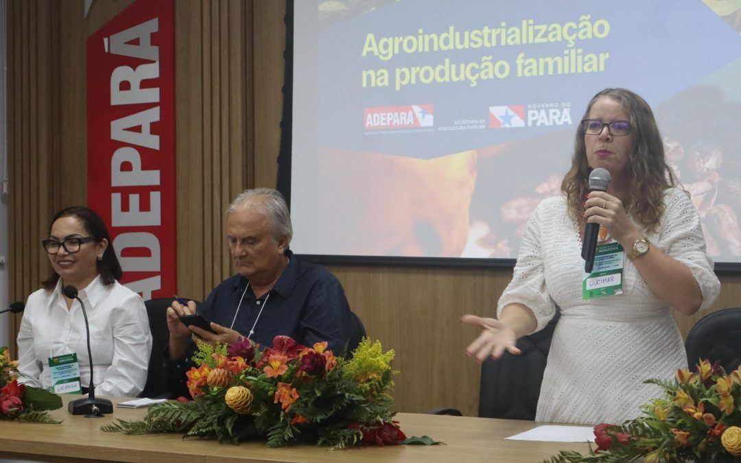 Com agroindustrialização, produtos têm garantia de maior renda