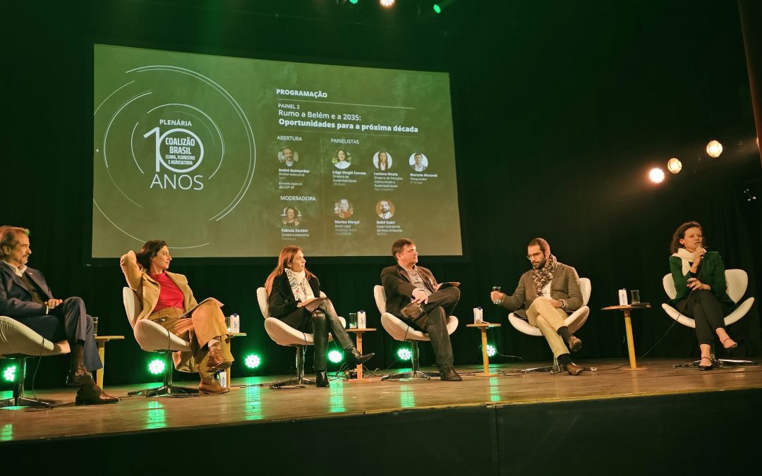 “Incorporar proteção de floresta no setor produtivo é evitar inflação”